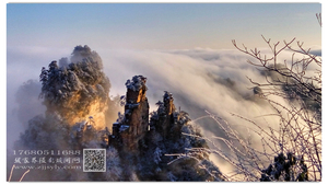 天子山雪景摄影作品